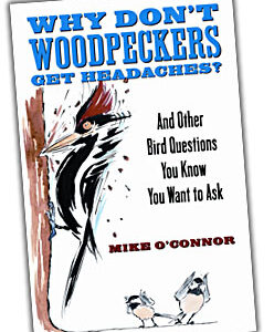 Woodpeckers Book