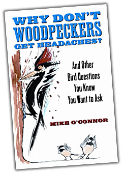 Woodpeckers Book