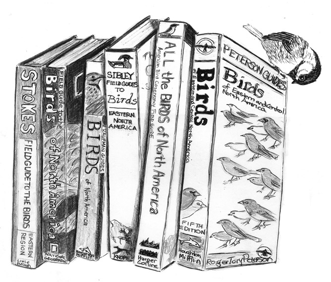 The Scoop On Bird Books & Field Guides