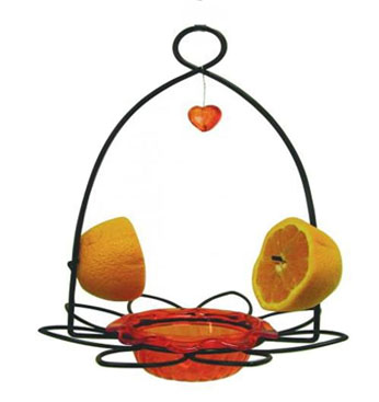 OrioleFlowerFeeder