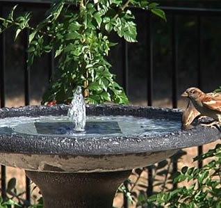 SolarBirdbathKit