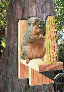 SquirrelChair2