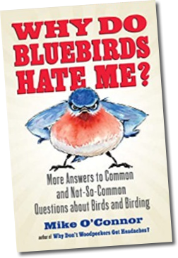 why-do-bluebirds-hate-me-book-mike
