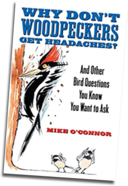 woodpeckers-headaches-book-mike