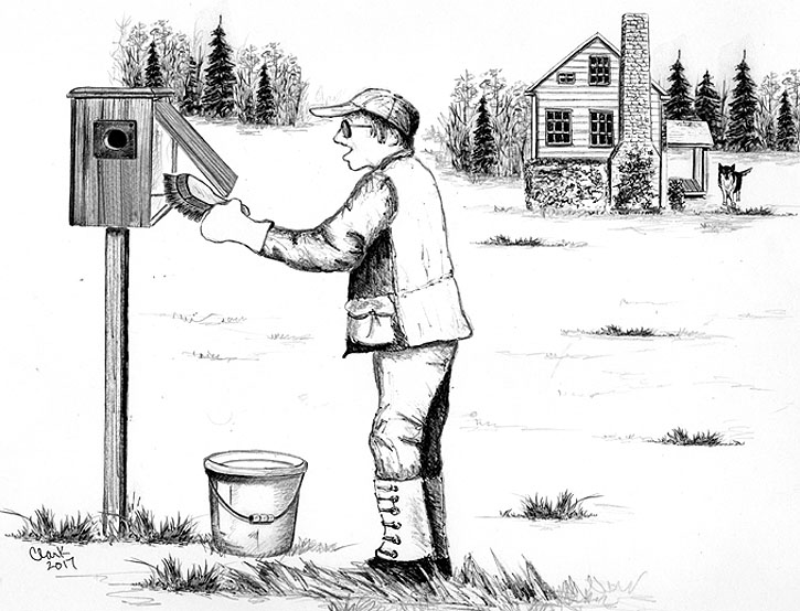 When To Clean Your Birdhouse