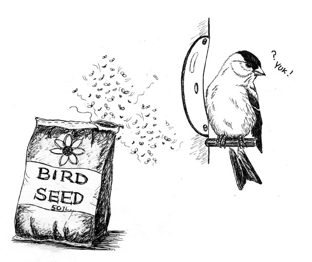 Buggy Seed