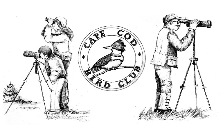 Cape Cod Bird Club
