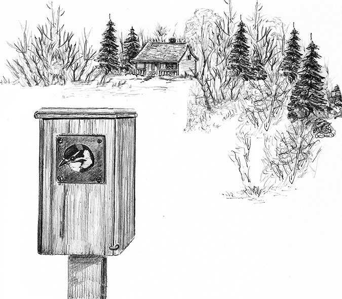 Downy Woodpeckers in Birdhouses