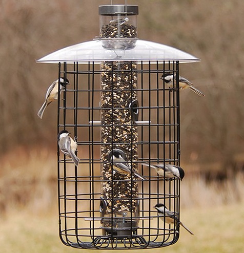 Droll Yankees Sunflower Domed Caged Feeder