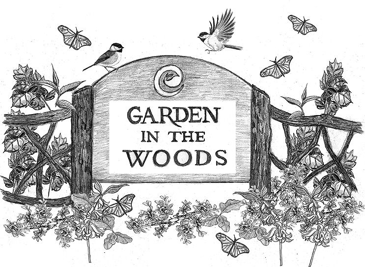 The Garden In The Woods