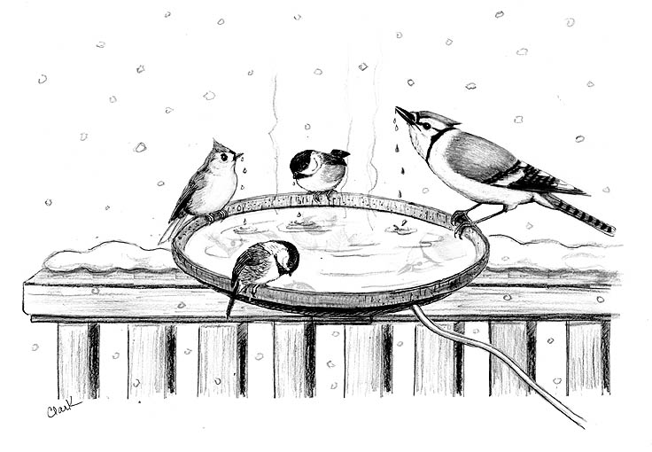 Heated Birdbaths