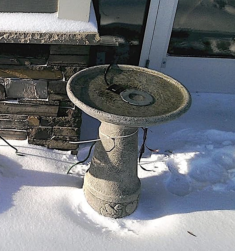 Farm Innovators Bird Bath De-Icer - Image 2