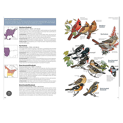 National Geographic Field Guide East - All New Edition - Image 2