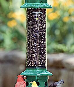 Brome Squirrel Buster-Plus Feeder