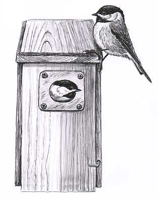 Feng Shui for Birdhouses | Bird Watcher's General Store