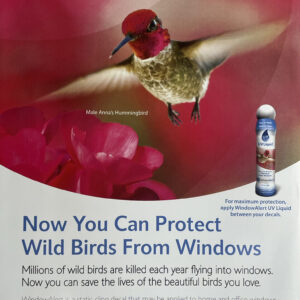 Window Alert Bird Savers - Hummingbirds