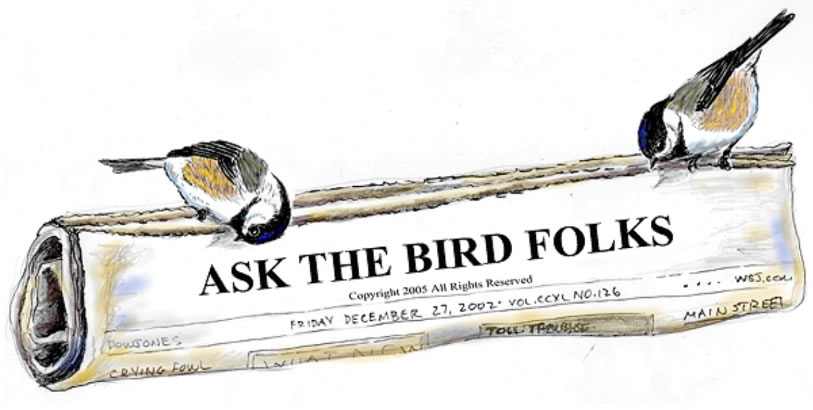 ask-the-bird-folks-newspaper
