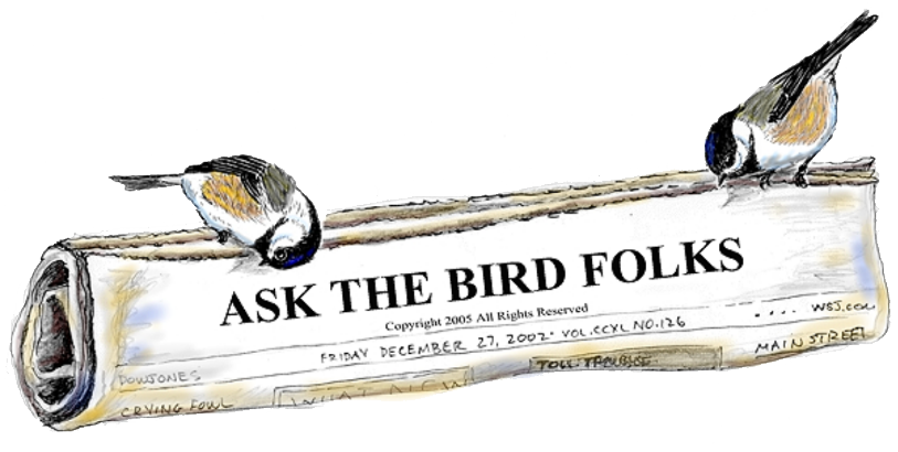 ask-the-bird-folks-newspaper