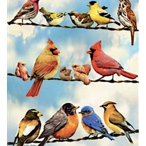 Birds On A Wire Puzzle