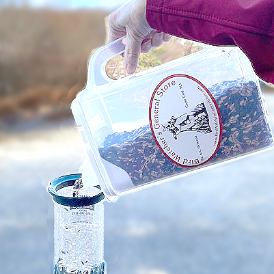 Seed Container with pour lid