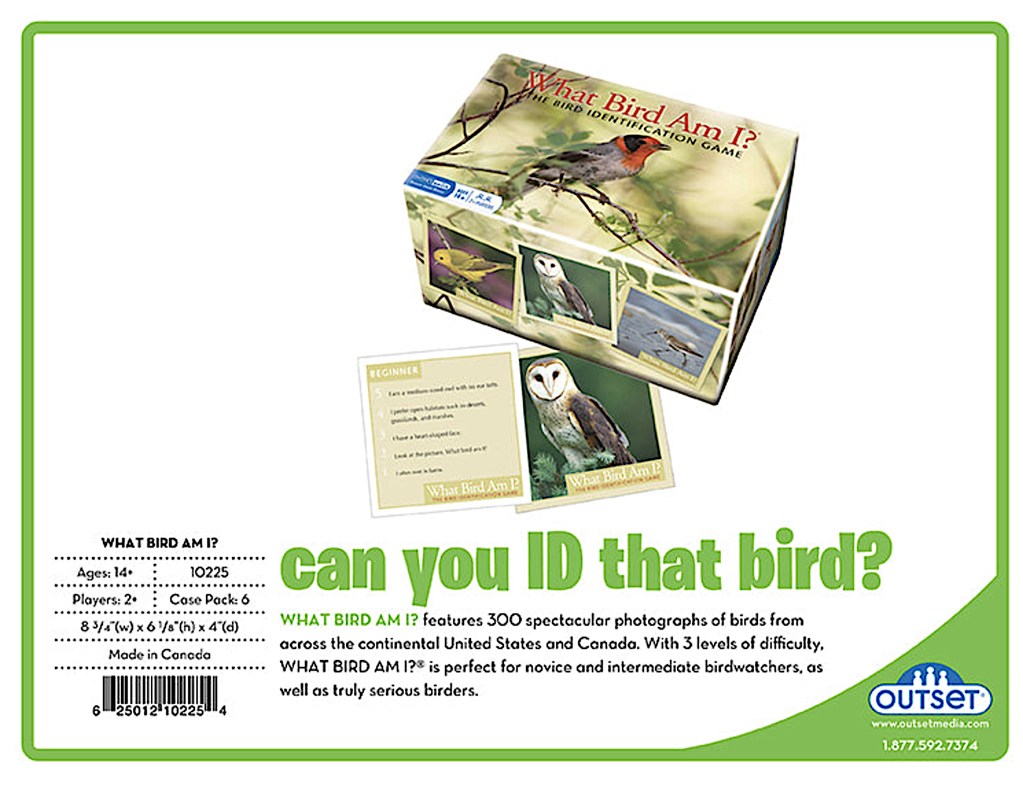 What Bird Am I Identification Game on Sale - Image 3