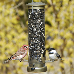 Aspects Quick-Clean 2 Port Feeder