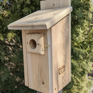 Woody's Cedar Bluebird Box