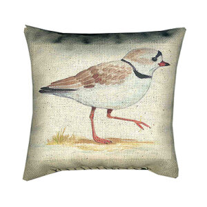 Plover or Osprey Maine Balsam Pillows