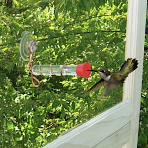 Window Stick On Glass Tube Hummingbird Feeder