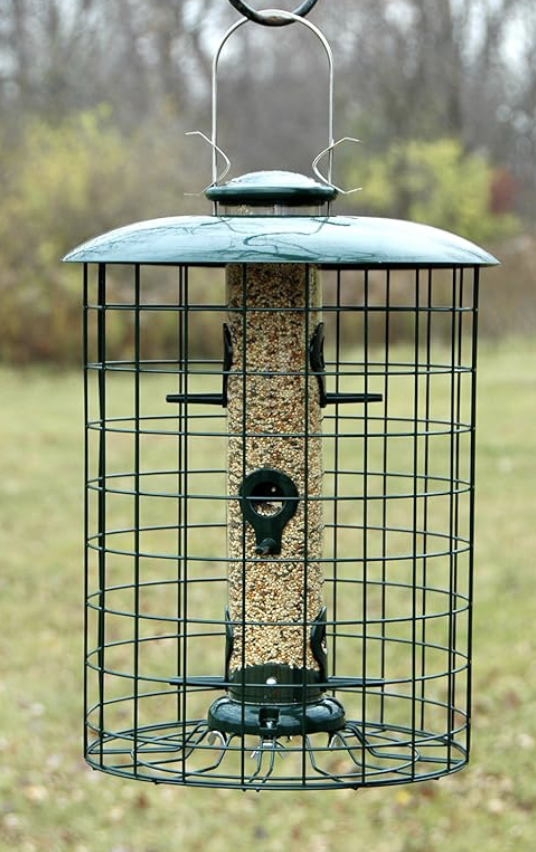 Squirrel Proof Green Feeder