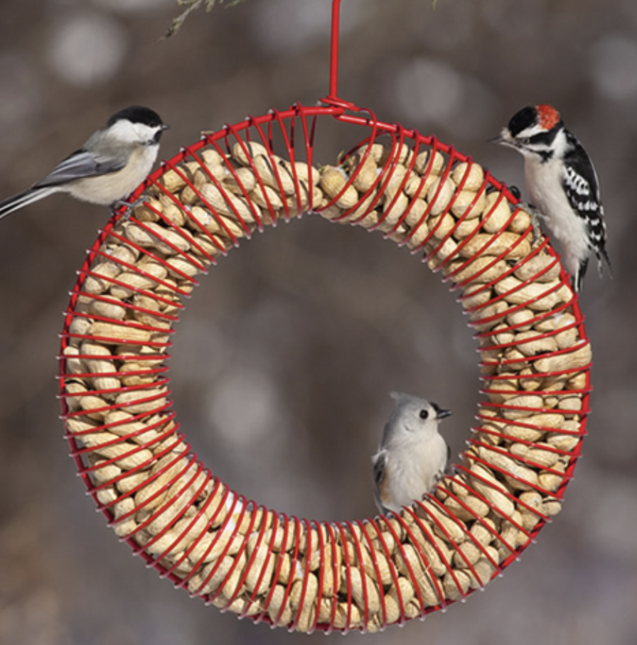 Whole Peanut Feeder