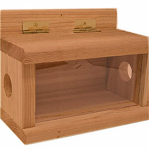 Red Cedar Bluebird Feeder