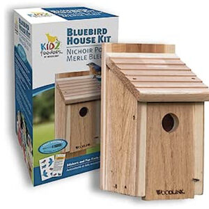 WoodLink Birdhouse Kit for Kids