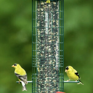 Brome Squirrel Buster - Classic Feeder