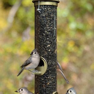 Aspects 4 Port Feeder