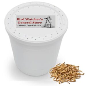 Live Mealworms Are Back!