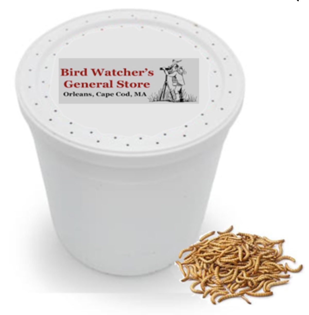 Live Mealworms Are Back!
