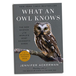 What An Owl Knows