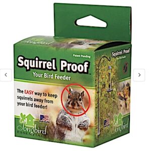Squirrel-Proof Slinky