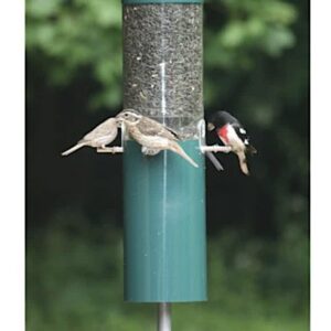 Birds Choice Squirrel Proof Pole Mounted Feeder