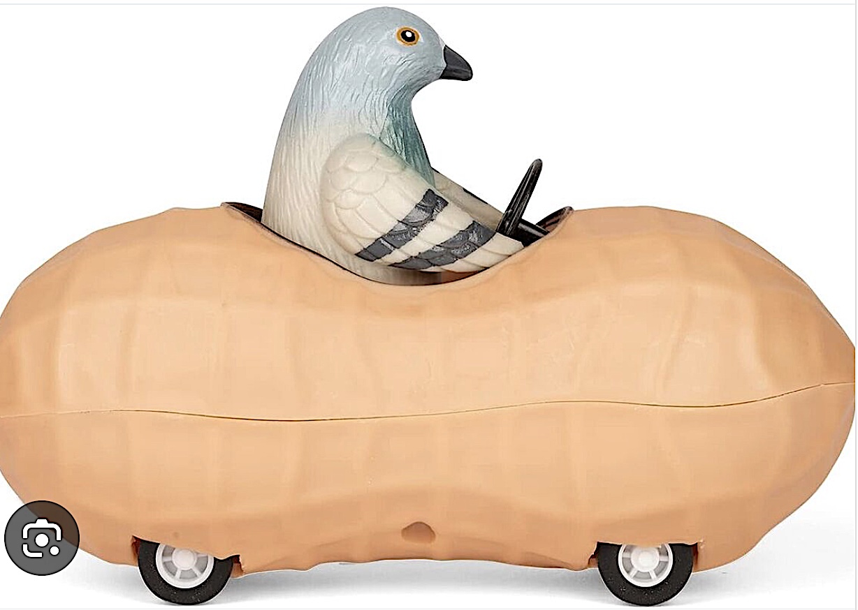 Pigeon In A Peanut - Image 2