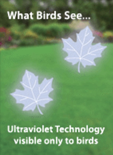 Window Alerts - Leaves - Image 2