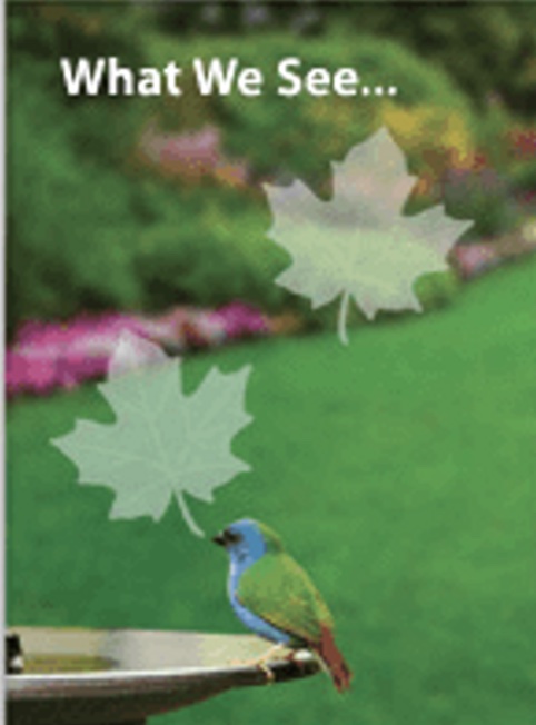 Window Alerts - Leaves - Image 3