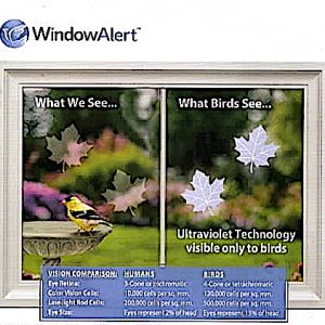Window Alert Decals - Leaves
