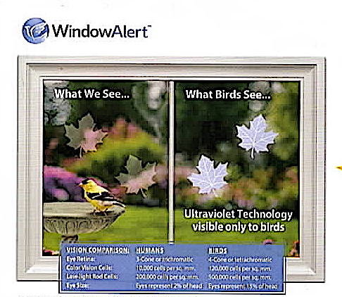 Window Alert Decals - Leaves