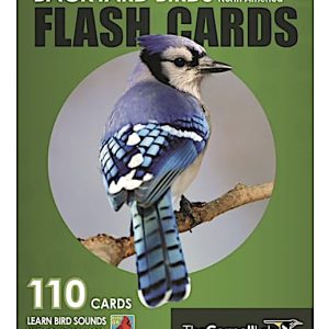 Backyard Birds Flash Cards by Cornell Lab