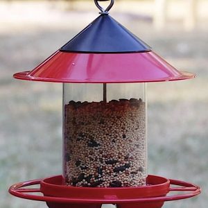 Easy Fill Feeder - Red or Green