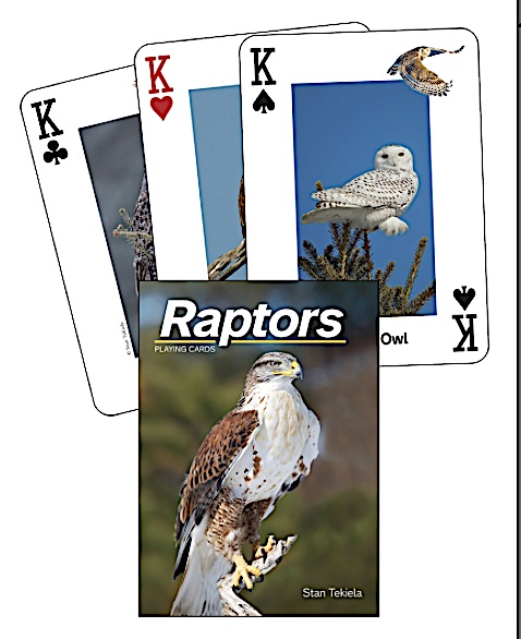 Raptor Playing Cards