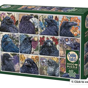 A Constable of Ravens Puzzle