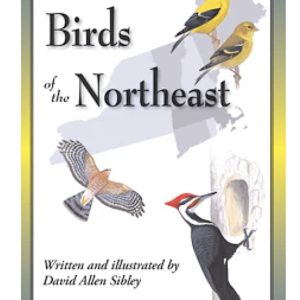 Sibley's Backyard Birds of the Northeast Fold Out Guide